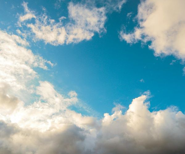 Nature background representing calm and serenity